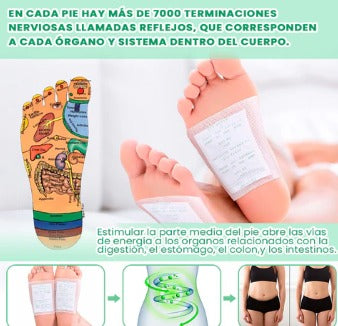 PARCHES DESINTOXICANTES Kinoki© - PACK DE 5 CAJAS 🎁+ Envío Gratis