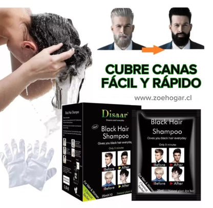 Shampoo Cubre Canas Instantáneo (10 Unidades) + Envío Gratis